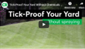 Tickproof Your Yard Without Spraying